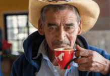 Generations Programme: Julius Meinl porta l’agricoltura rigenerativa del caffè in Honduras